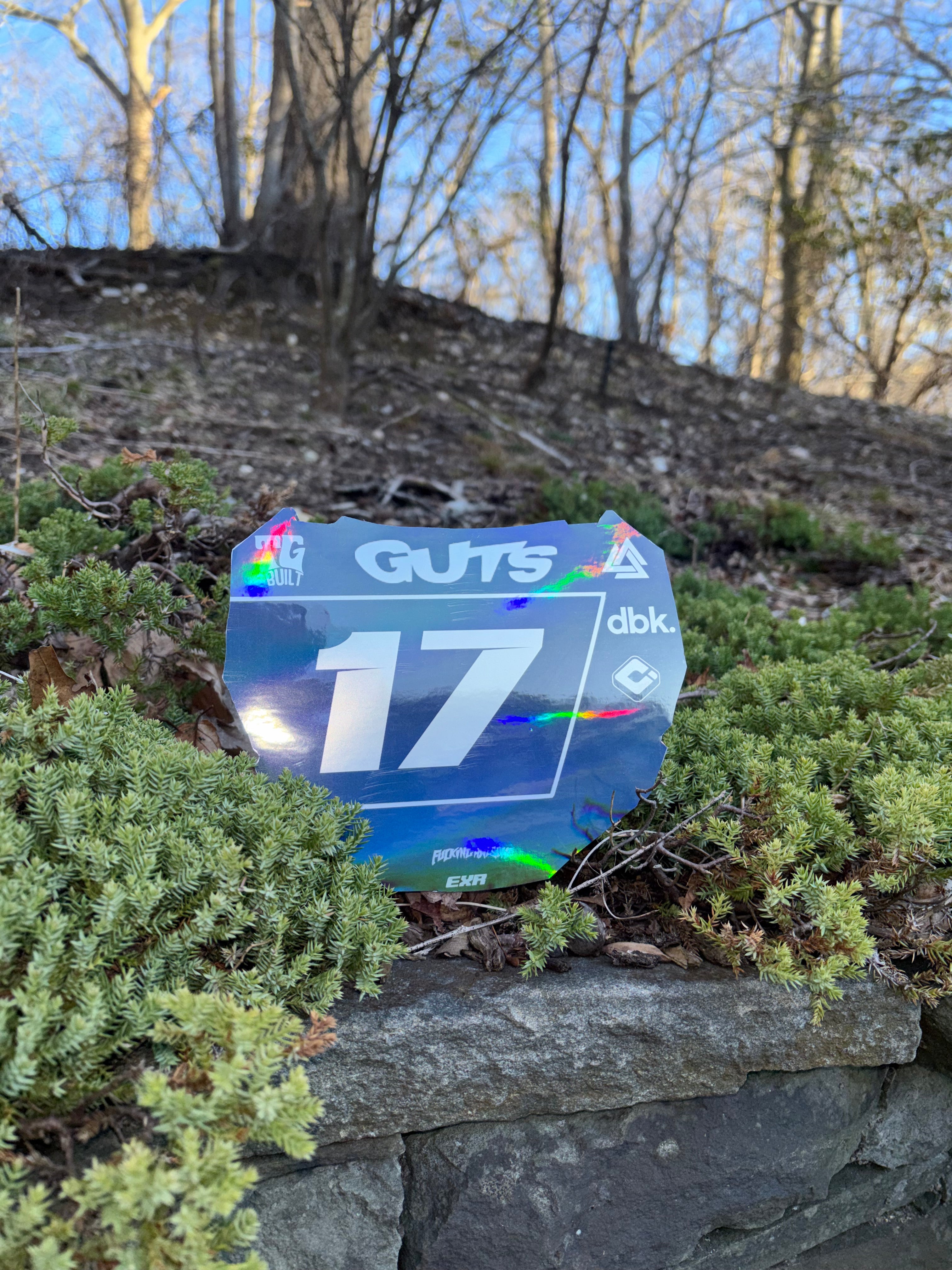 ODI Decal